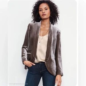 Garnet Hill Relaxed Velvet Blazer Jacket Womens 18 Silk Rayon Open Taupe Preppy